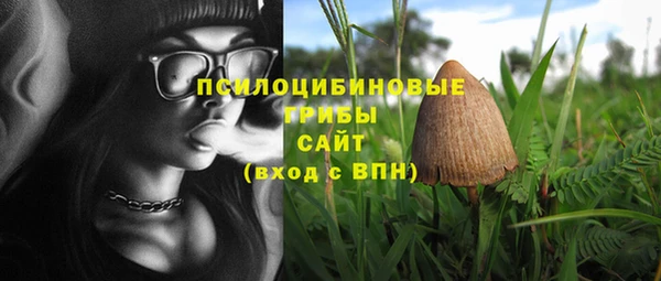 mdpv Кулебаки