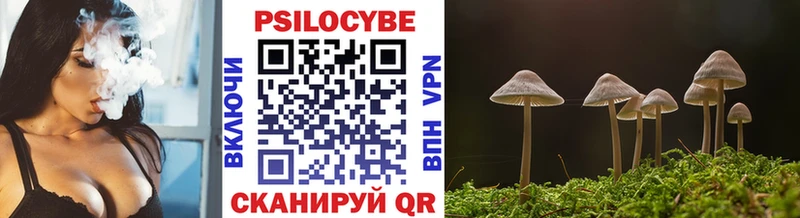 Купить  Анадырь  Псилоцибиновые грибы мухоморы 